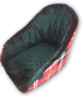 Buddyrider Booster