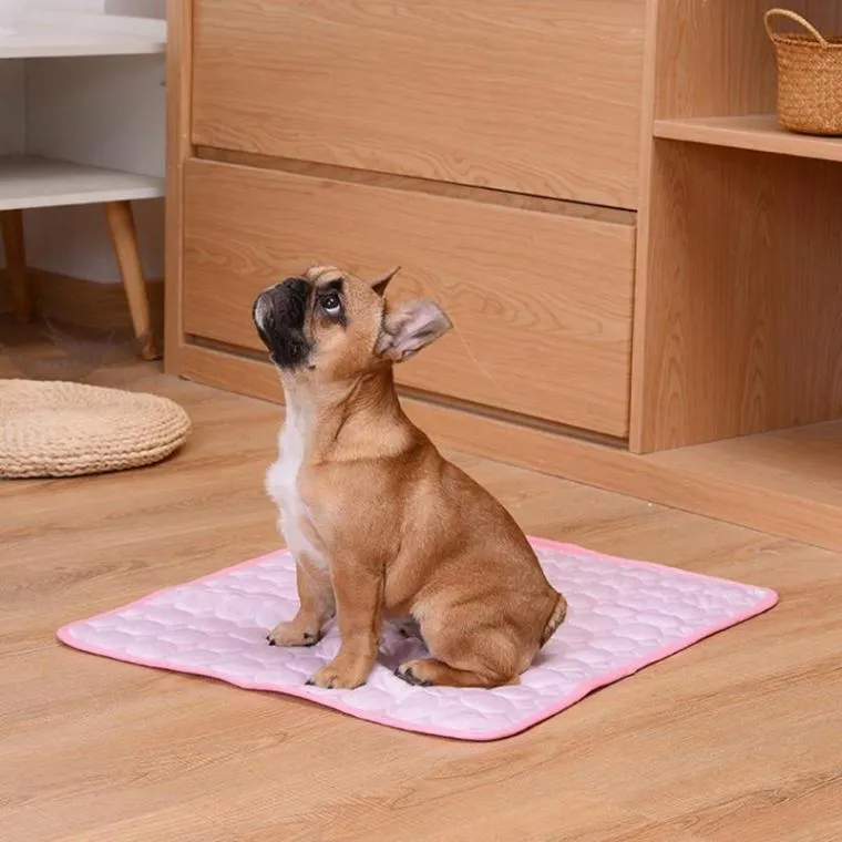 ChillPet Cooling Mat - The Ultimate Summer Bed Pad for Pets!