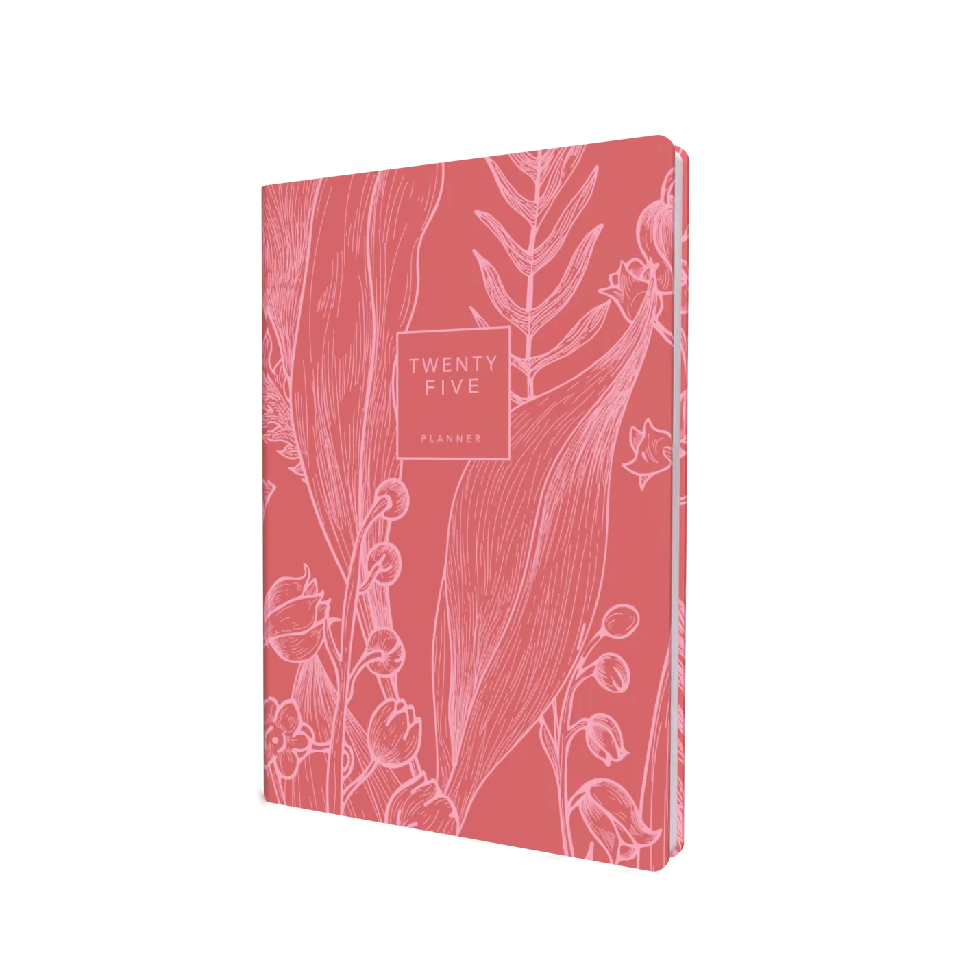 Collins Tara 2025 Diary Planner - Day to a Page View, Size A5