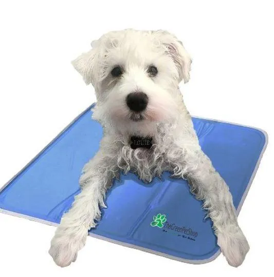 Cool Pet Pads by The Green Pet Shop