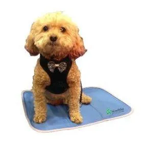 Cool Pet Pads by The Green Pet Shop
