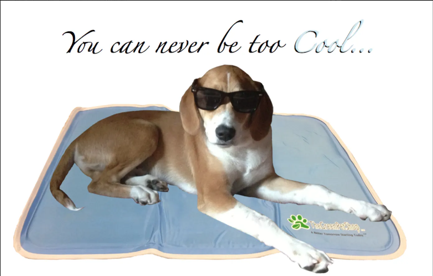 Cool Pet Pads by The Green Pet Shop