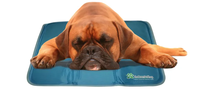 Cool Pet Pads by The Green Pet Shop