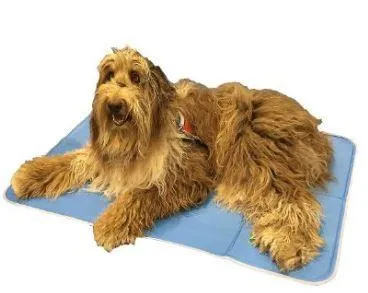 Cool Pet Pads by The Green Pet Shop