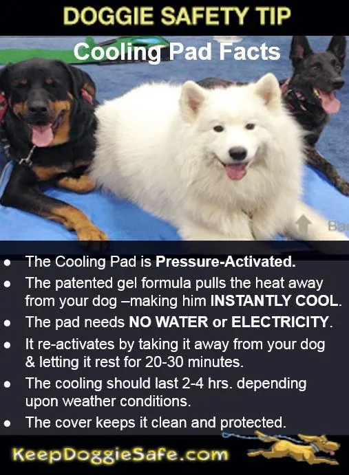 Cool Pet Pads by The Green Pet Shop