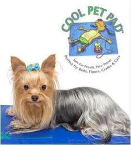 Cool Pet Pads by The Green Pet Shop