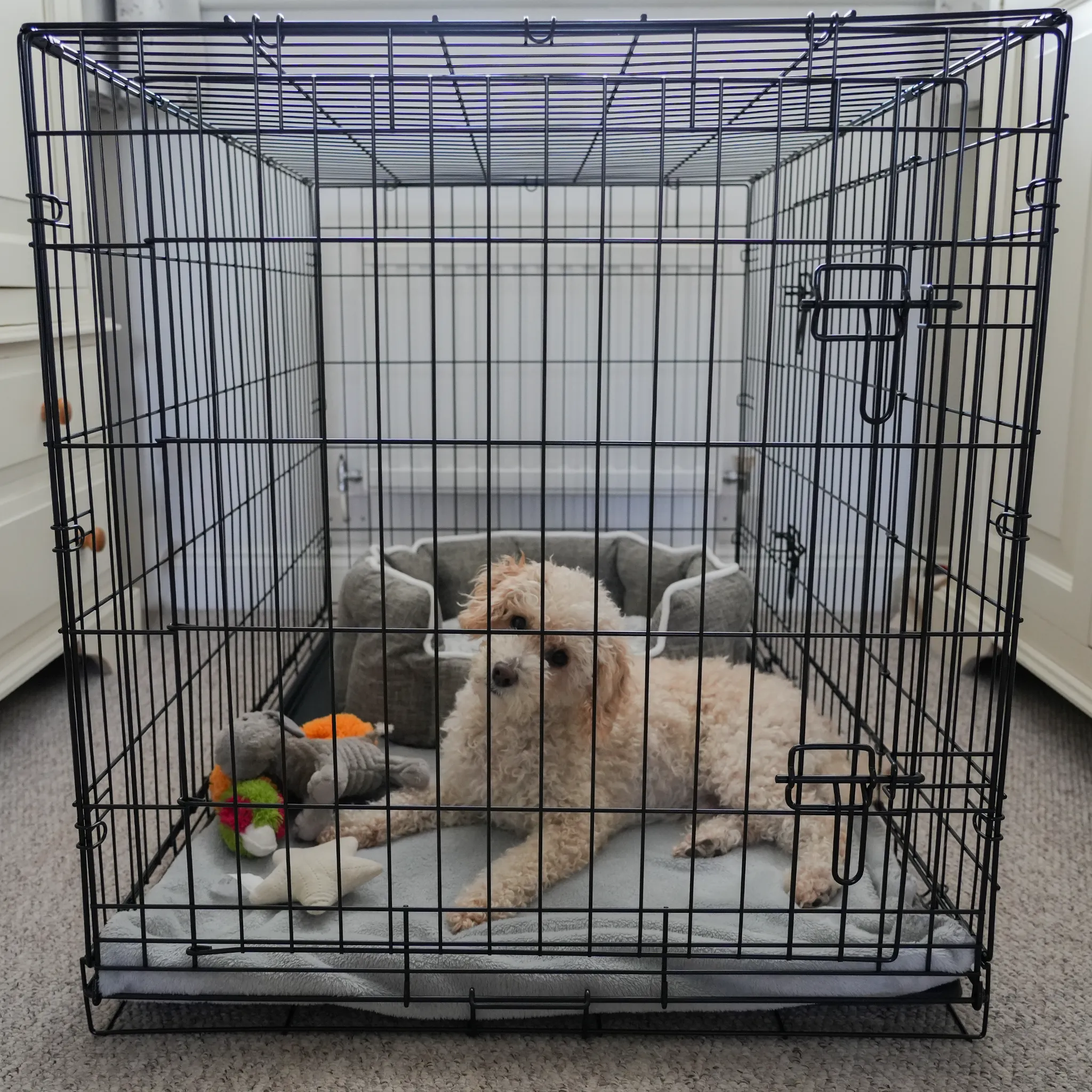 Elite Dog Crate Home Folding Kennel - S - 78L x 48W x 54H cm
