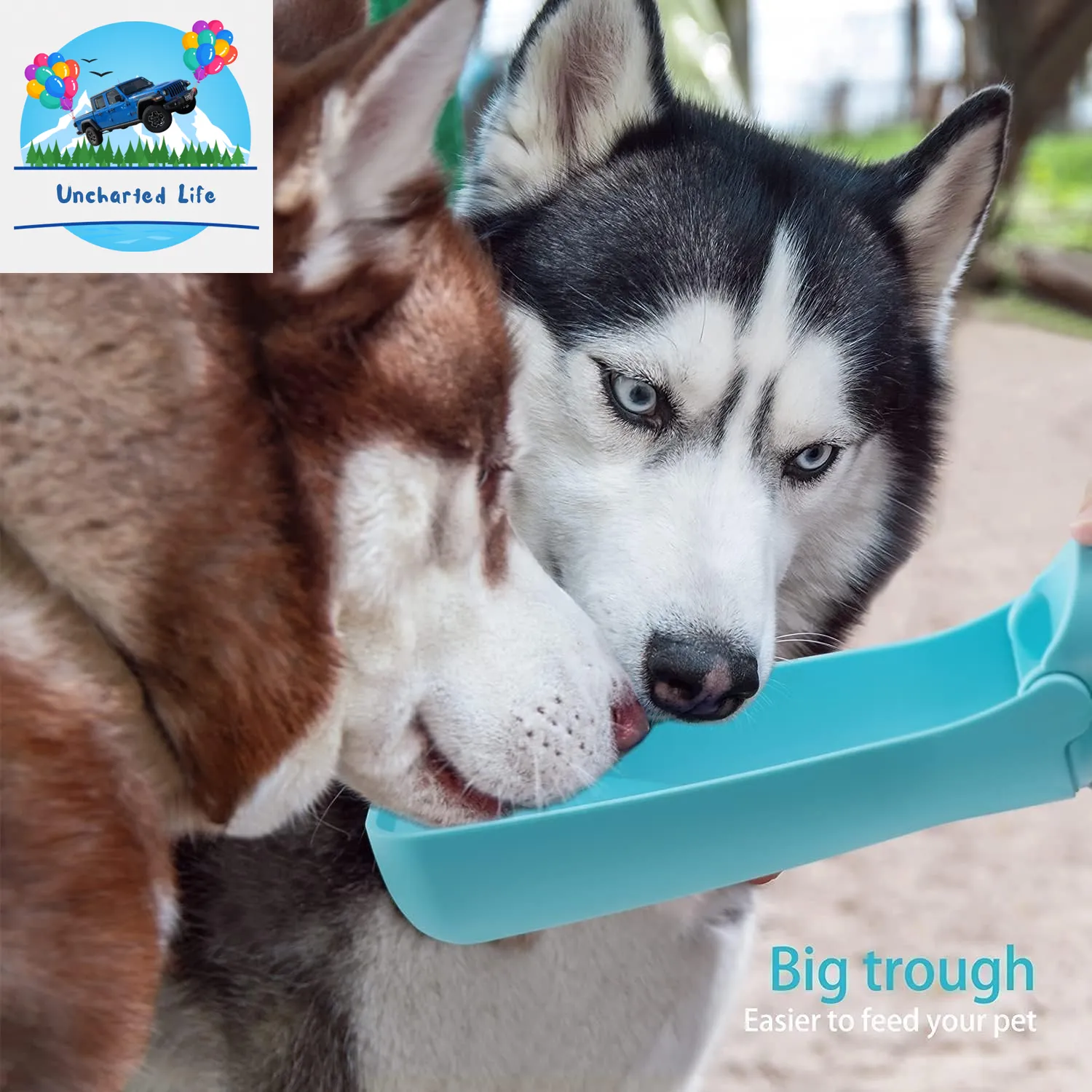 Foldable Dog Water Bottle – Leak-Proof, Portable Hydration for Travel