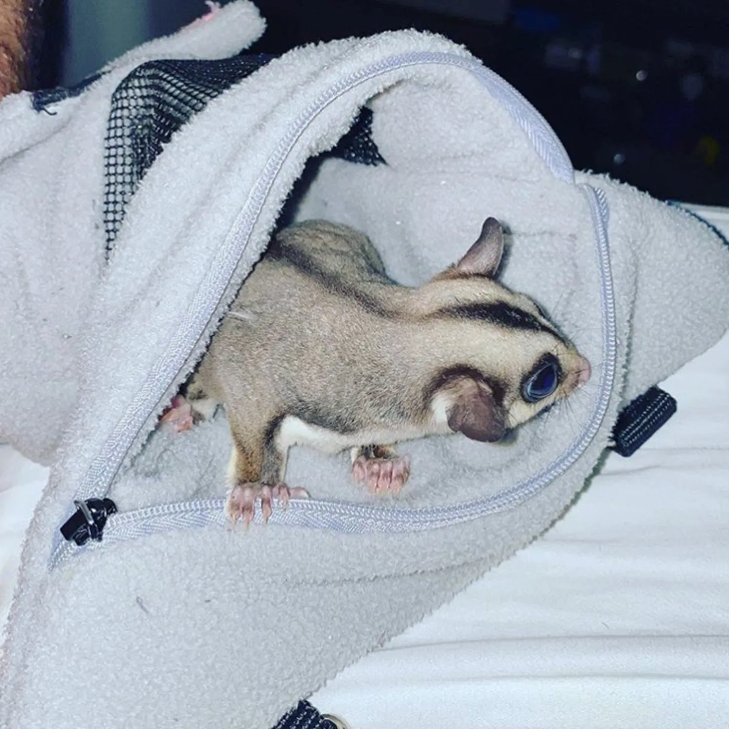 Glider Bonding Pouch