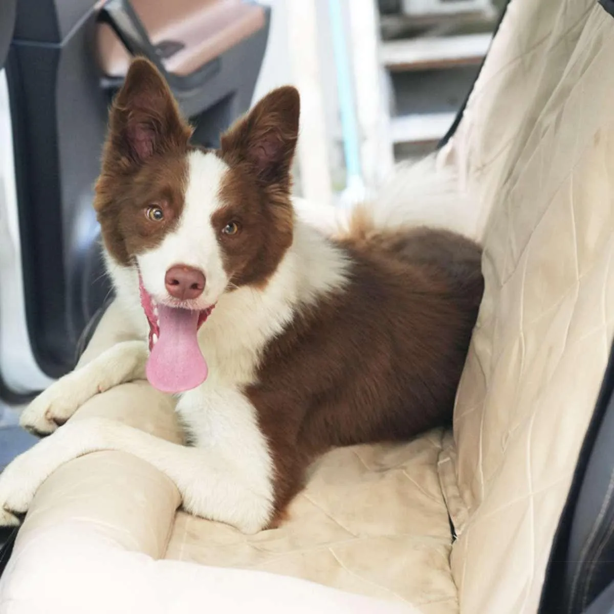 Julibee's X-Large Dog Car Seat Bolster | Safety belt included | Brown