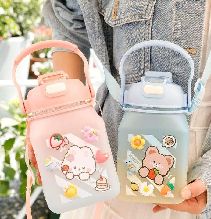 Kawaii Frosted Water Bottles