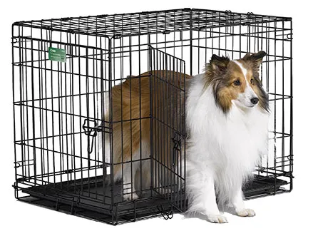 MidWest Contour Folding 2-Door Pet Crate