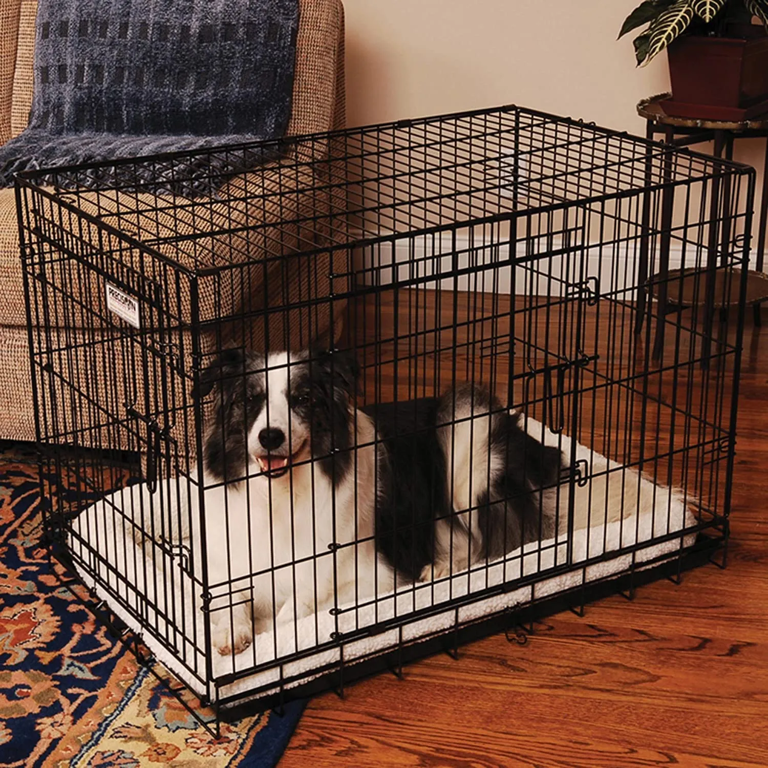 New in box! Precision Pet Black Great Crate 2 Door 42-Inch x 28-Inch x 31-Inch! Retails $170 
