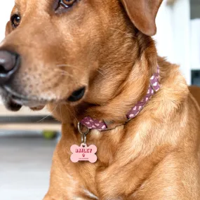 Personalised Bone Shaped Pastel Pet ID Tag