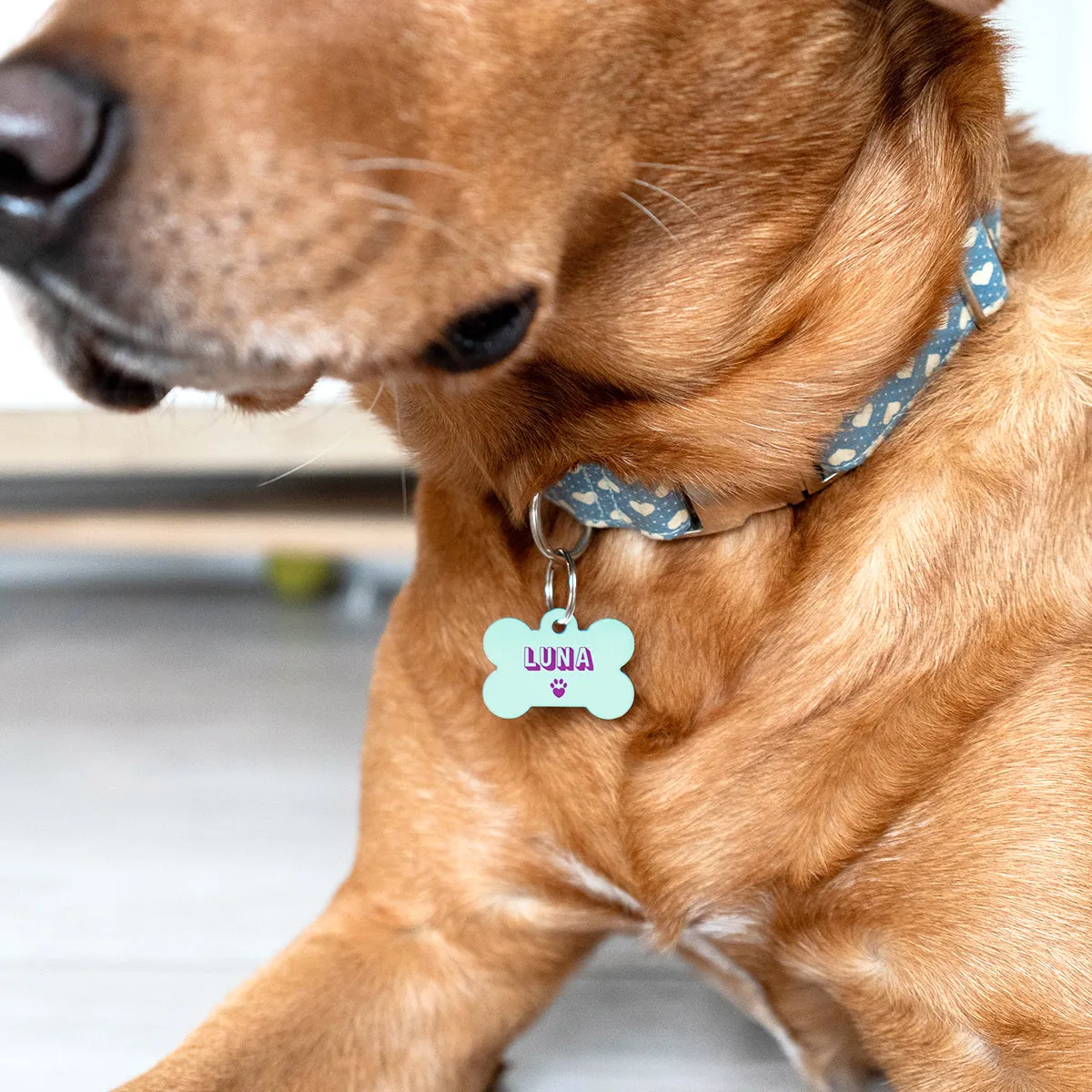 Personalised Bone Shaped Pastel Pet ID Tag