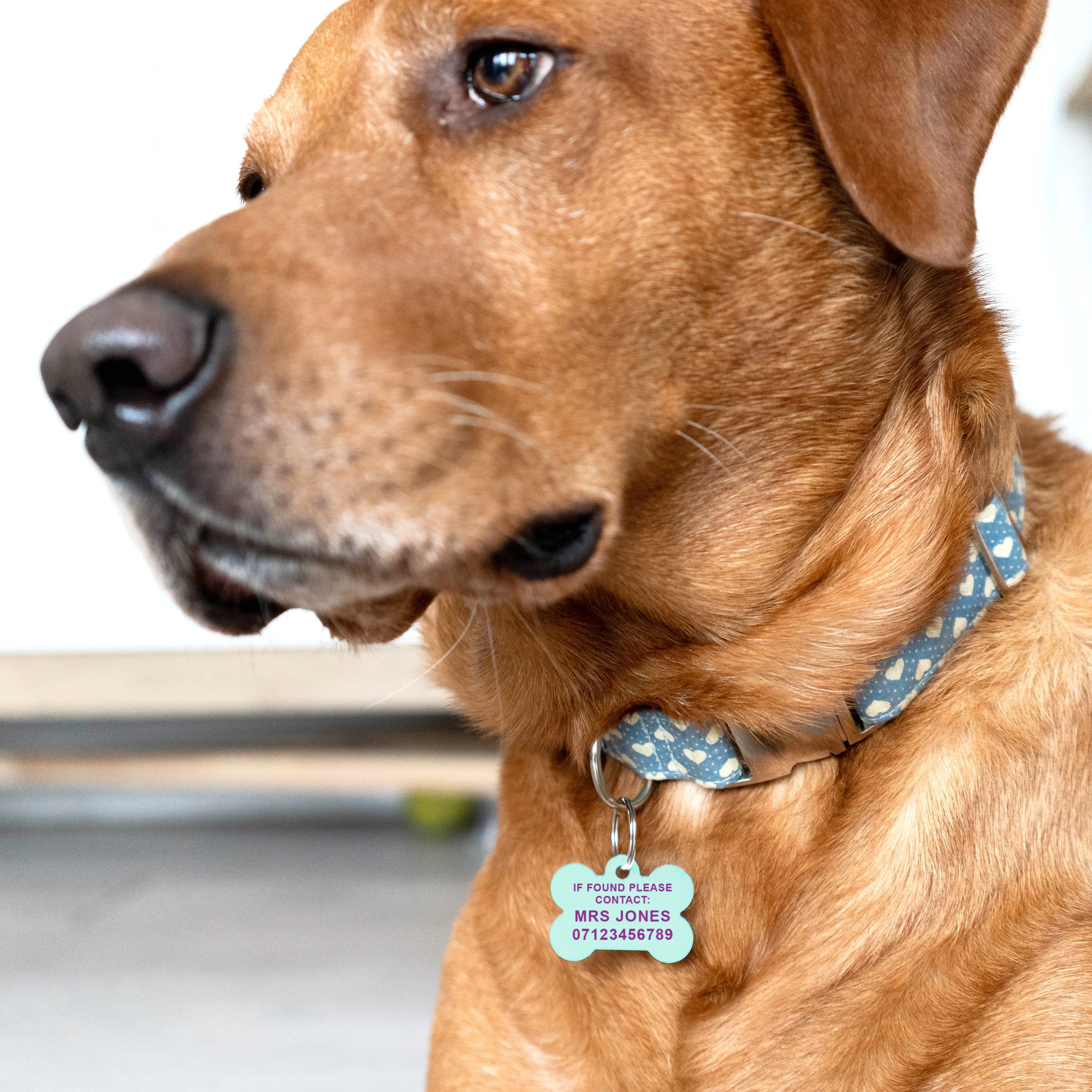 Personalised Bone Shaped Pastel Pet ID Tag