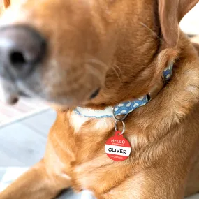 Personalised 'Hello My Name Is' Pet ID Tag