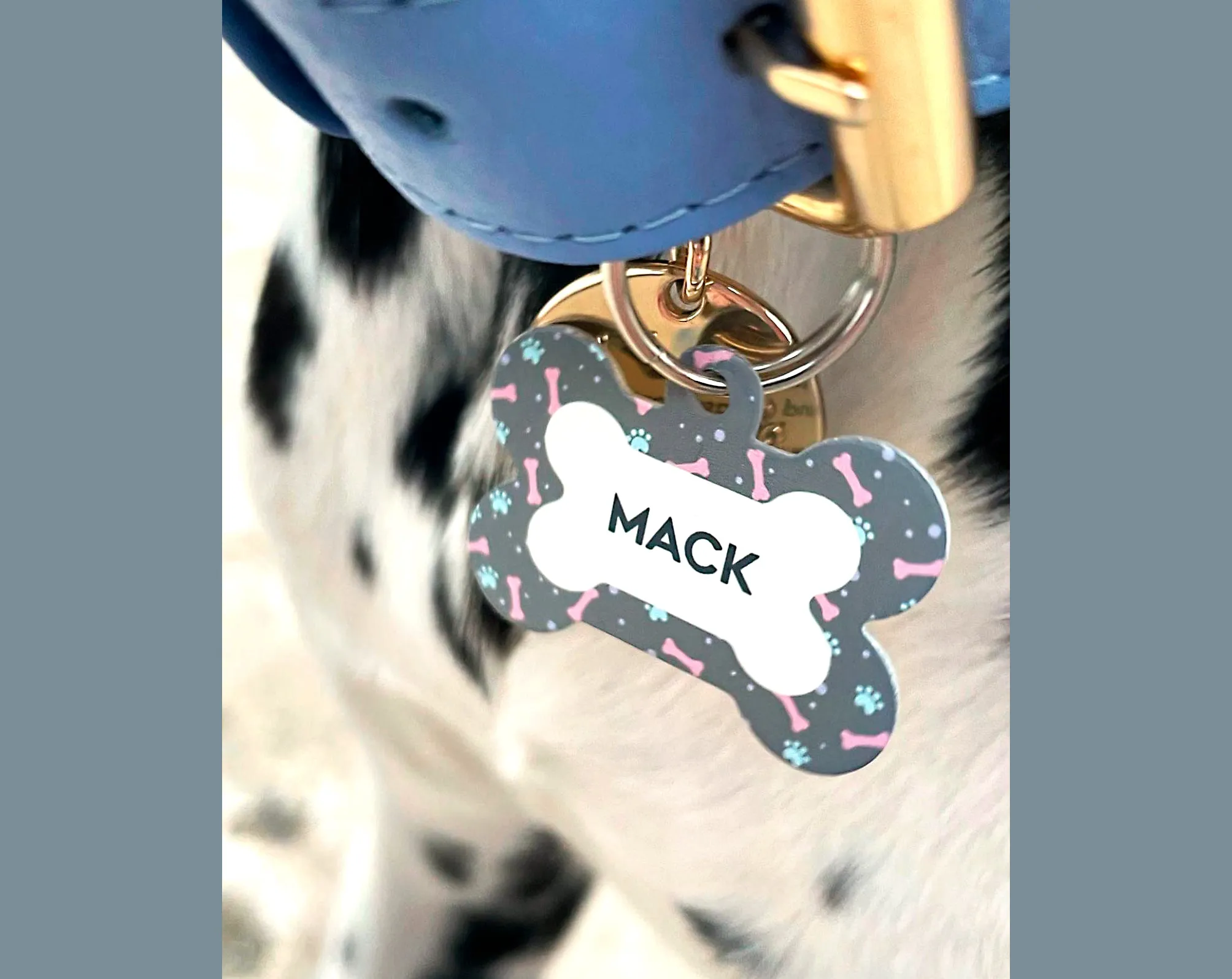 Personalised Zebra Print Round Pet Name ID Tag