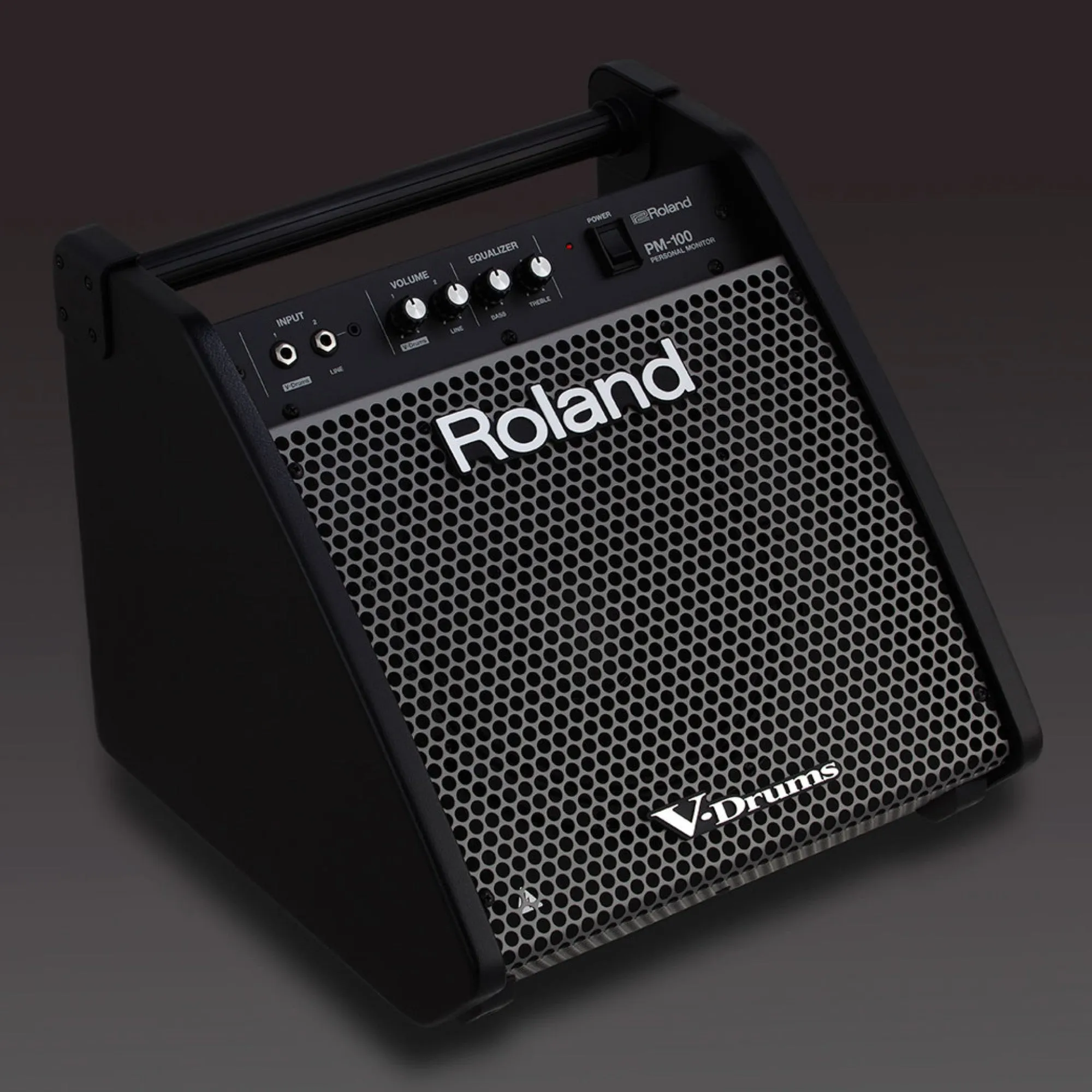 Roland PM-100 Monitor Speaker