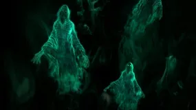 Wicked Wraith